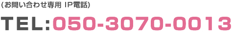 お問い合わせ専用IP電話 TEL:050-3070-0013