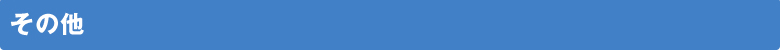 その他